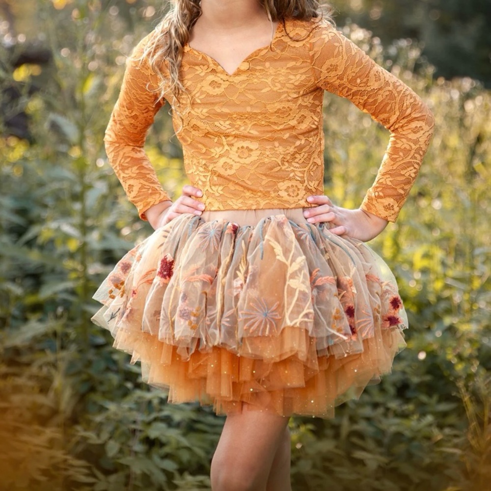 Toddler Girl Fall Set With Lace Top & Embroidered Tulle Skort